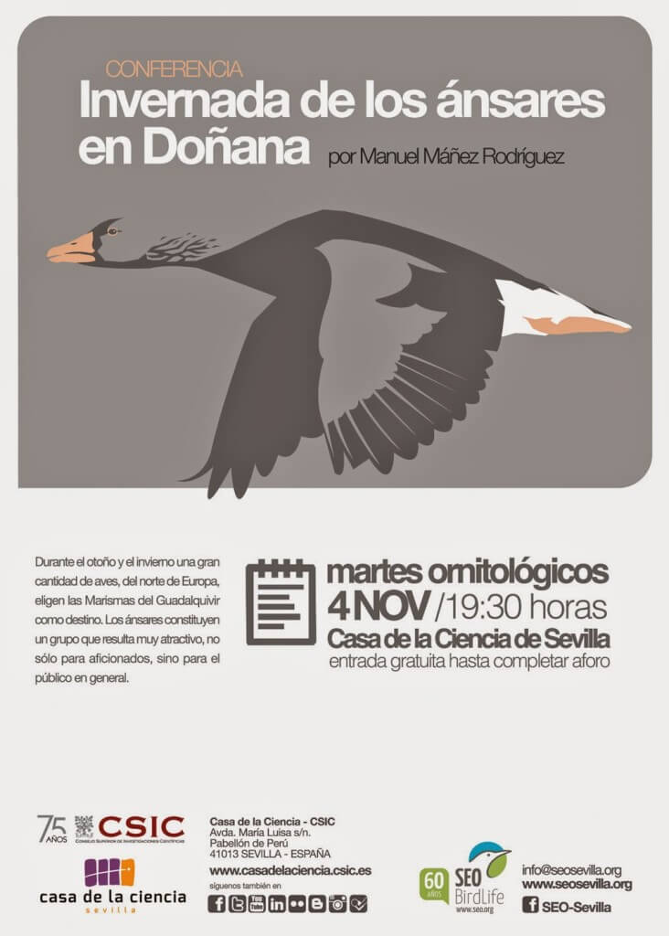 Conferencia: Invernada de los ánsares en Doñana