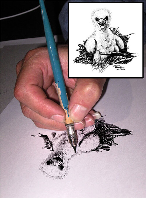 Dibujo dedicado a Birding140 por Rubén Arrabal