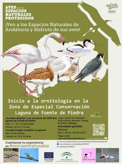 Inicio a la ornitología en Fuentede Piedra 2016