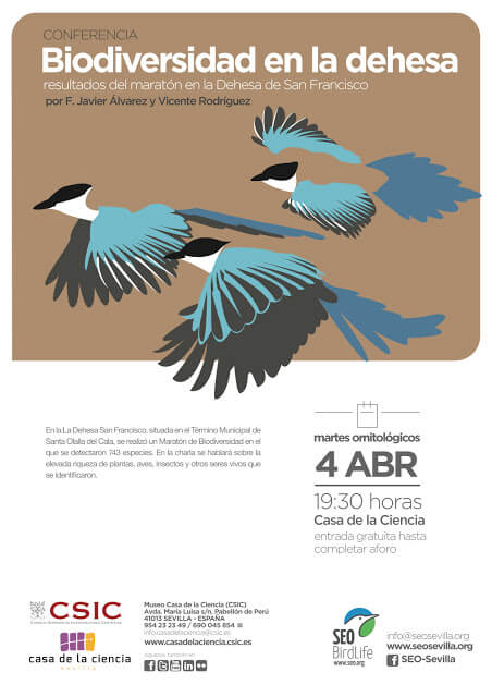 Cartel Martes Ornitologicos Abril 2017