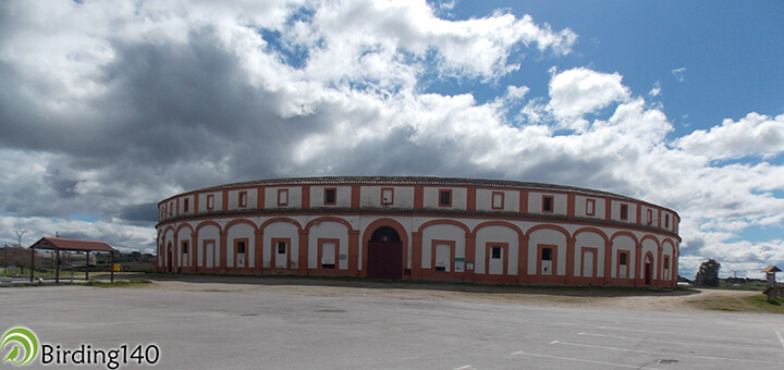 Plaza de toros de Trujillo
