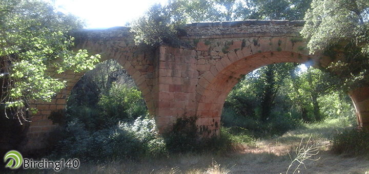 Puente de Covatillas sobre el rio Piron