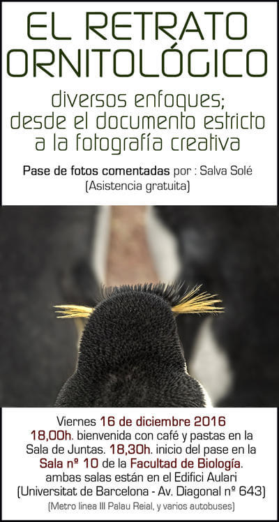 El Retrato Ornitológico por Salvador Solé