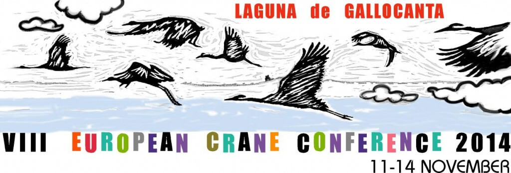 VIII European Crane Conference 2014 - Laguna de Gallocanta