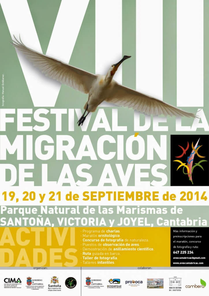 Festival de Aves de Santoña 2014