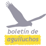 logo boletin